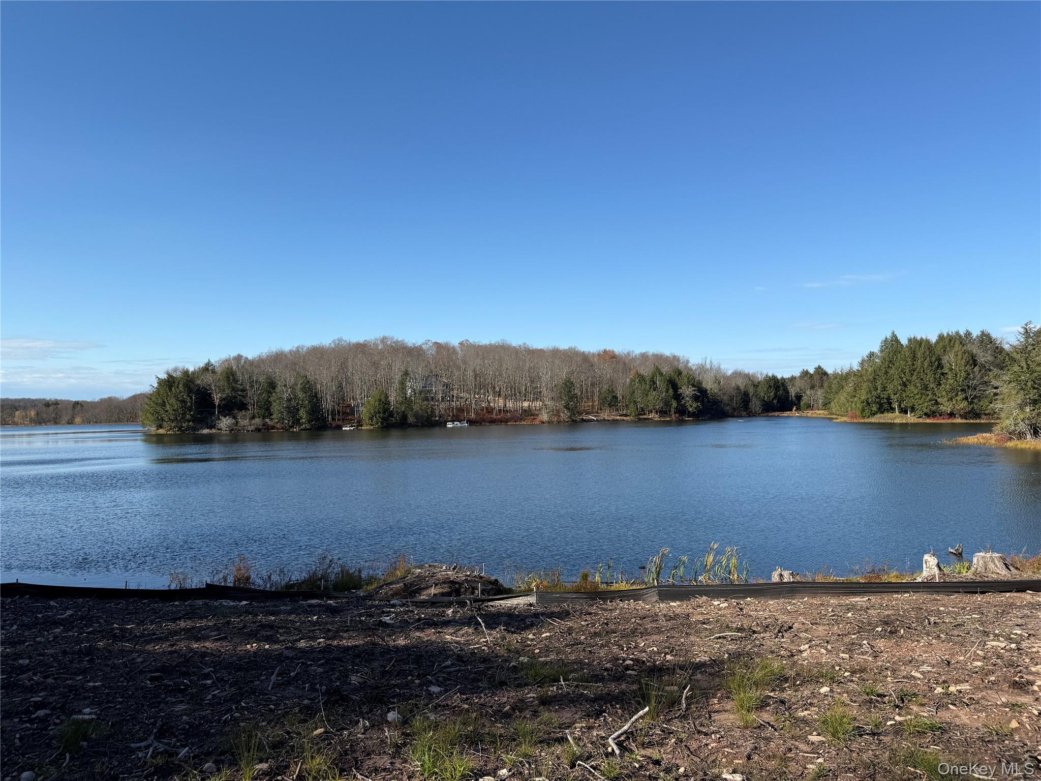17 Eagles Ridge Way Parksville, NY 12768 - Photo 15 of 15 a view of a lake next to a yard