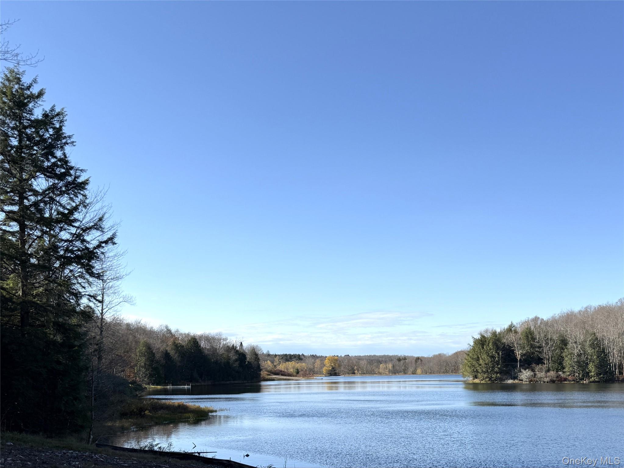 17 Eagles Ridge Way Parksville, NY 12768 - Photo 3 of 15 a view of a lake with houses in the background