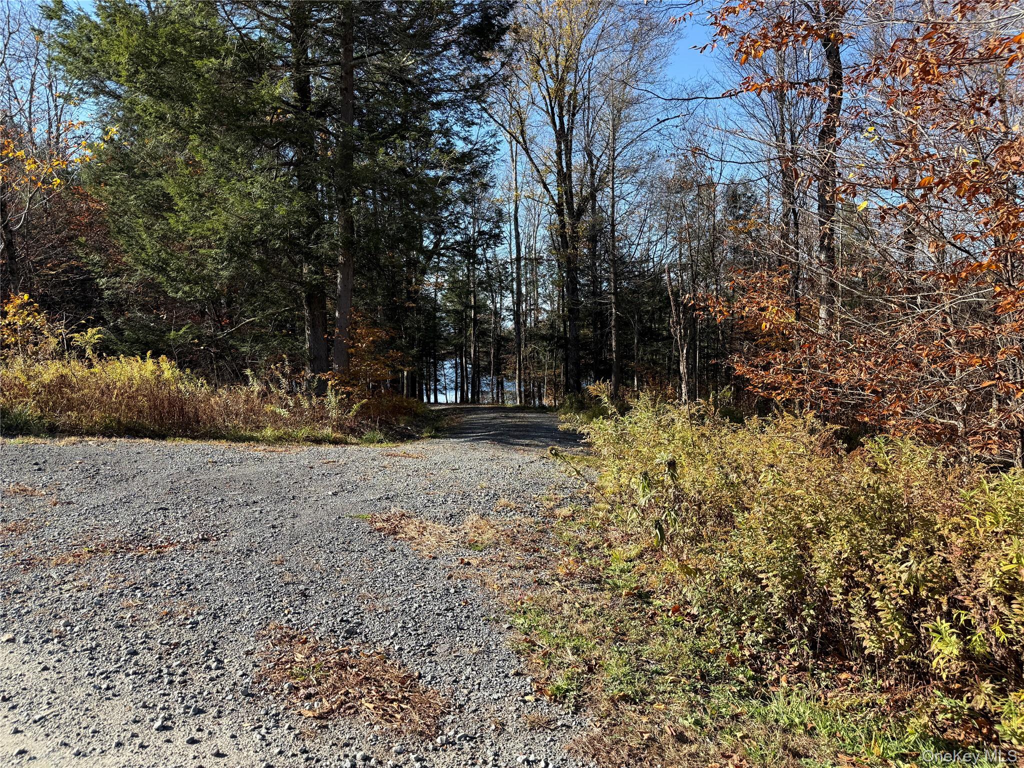 17 Eagles Ridge Way Parksville, NY 12768 - Photo 4 of 15 a view of outdoor space and yard