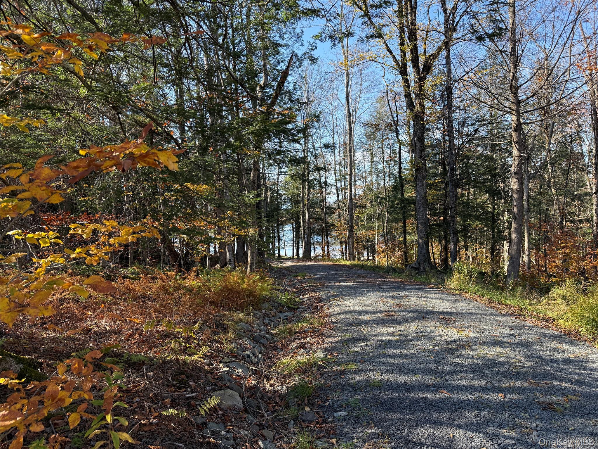 17 Eagles Ridge Way Parksville, NY 12768 - Photo 5 of 15 a view of a yard with a tree