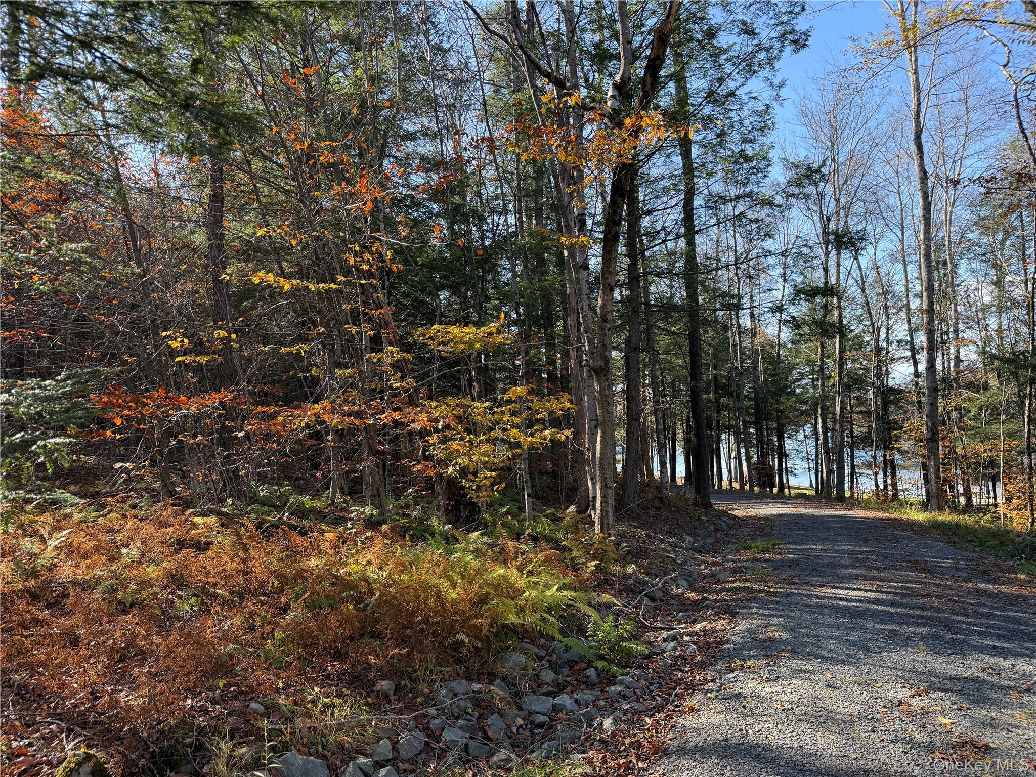 17 Eagles Ridge Way Parksville, NY 12768 - Photo 6 of 15 a view of street view