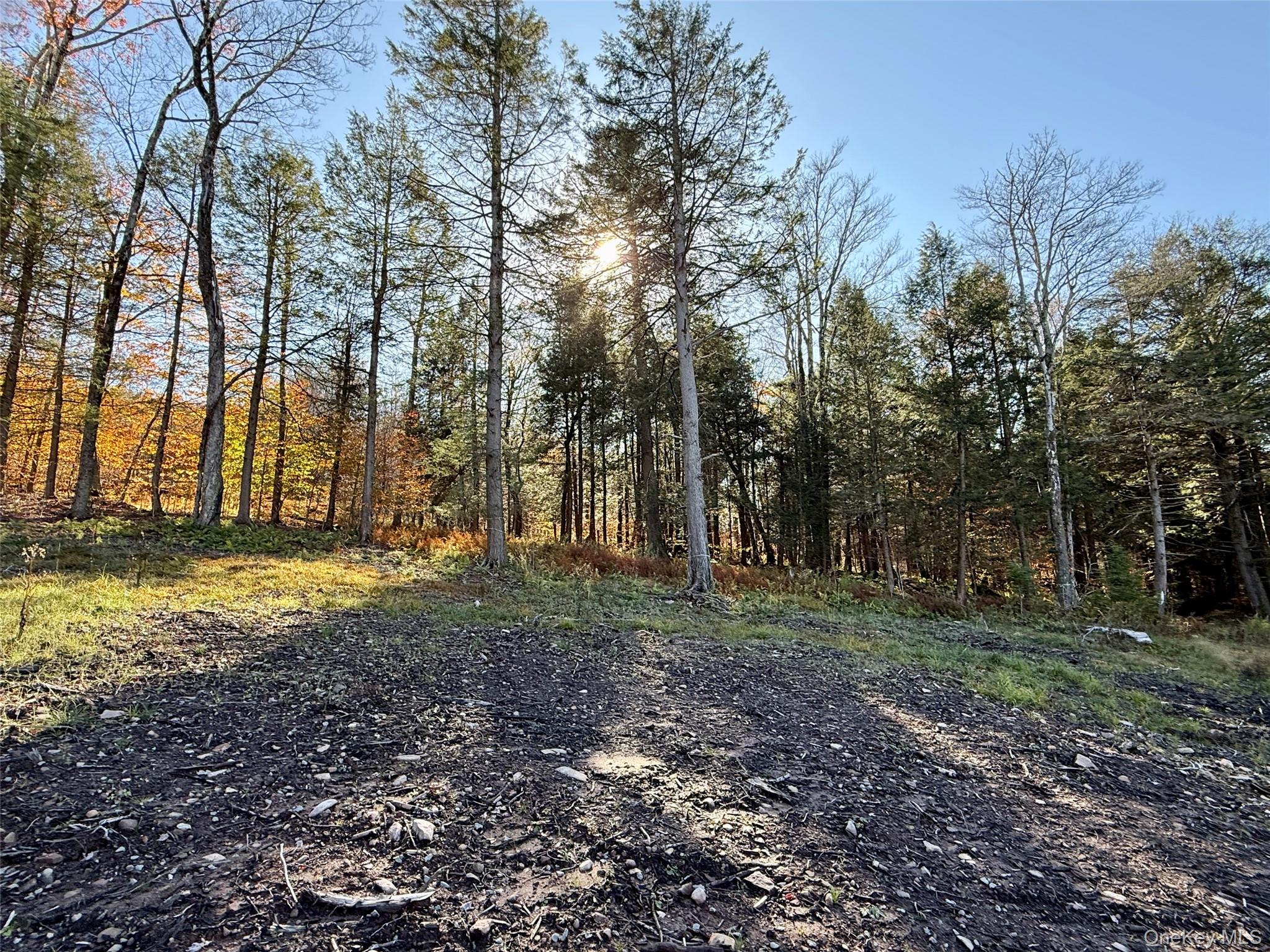 17 Eagles Ridge Way Parksville, NY 12768 - Photo 9 of 15 a view of outdoor space with trees