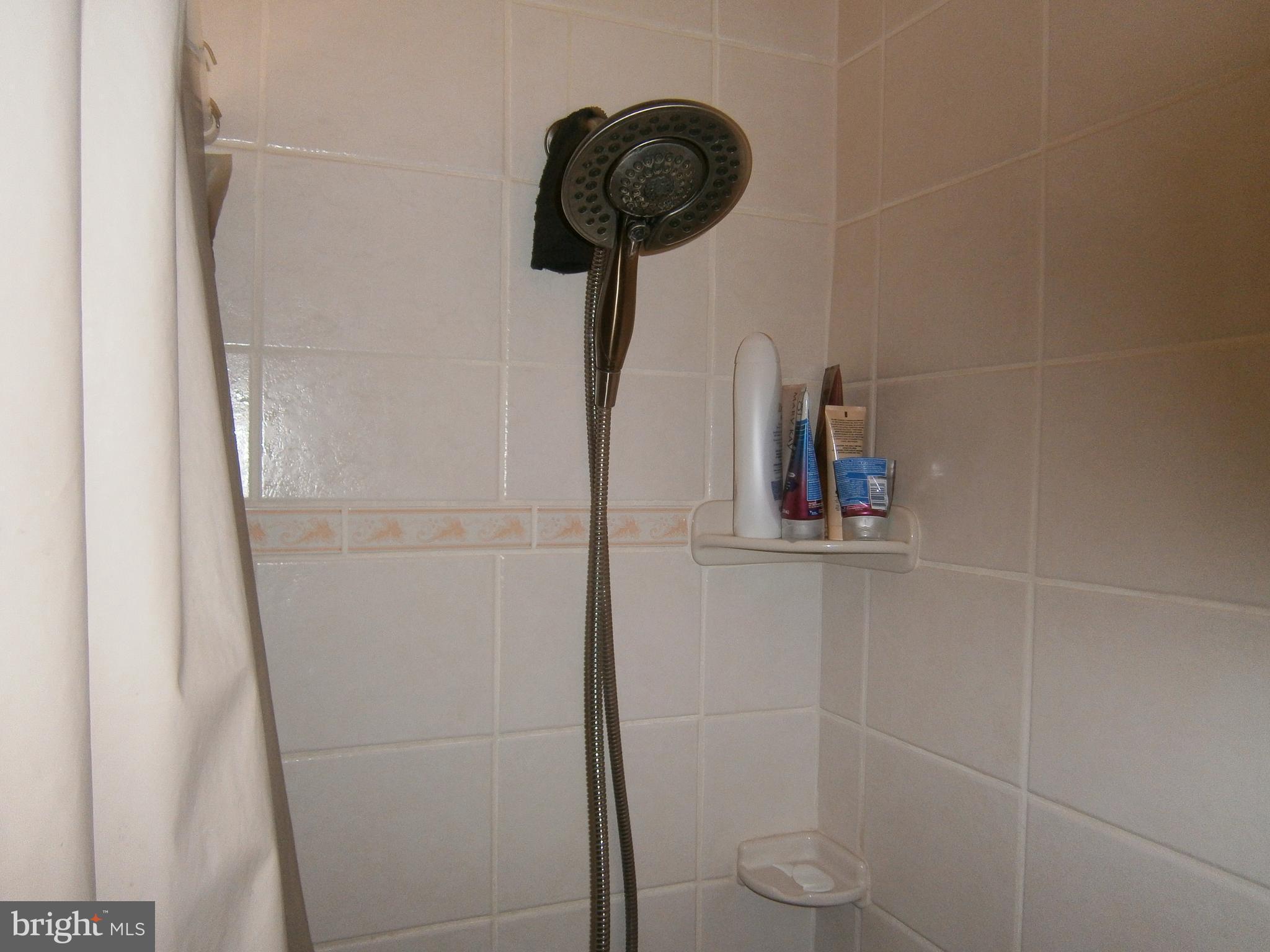 432 South Wickham Road Baltimore, MD 21229 - Photo 14 of 29 a close view of shower