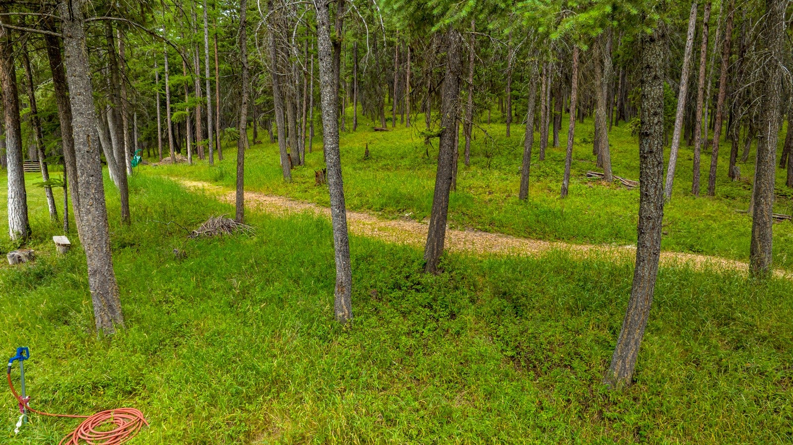 1085 K K M Ranch Road Whitefish, MT 59937 - Photo 67 of 79 Gallery Image 67