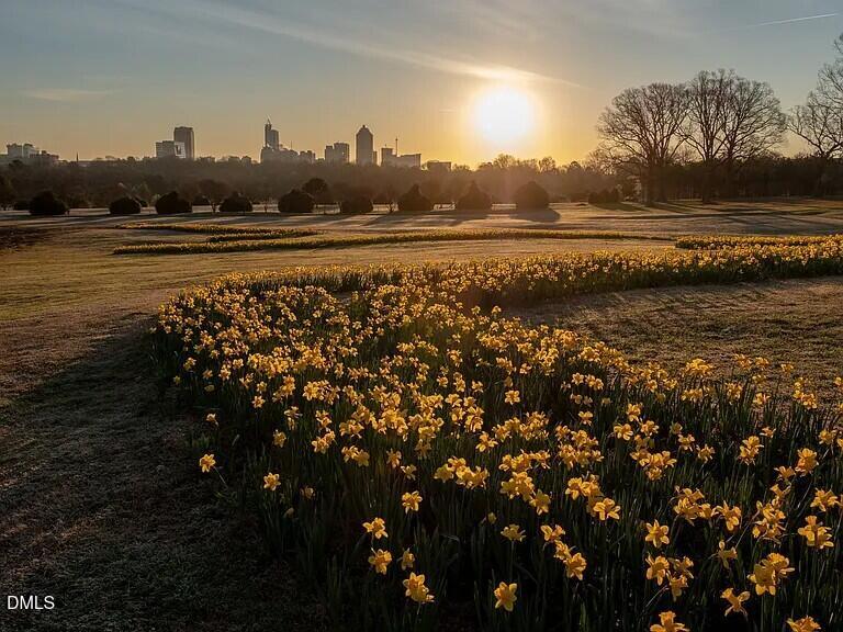 906 Formby Way, Unit 184 Raleigh, NC 27610 - Photo 28 of 33 flowers