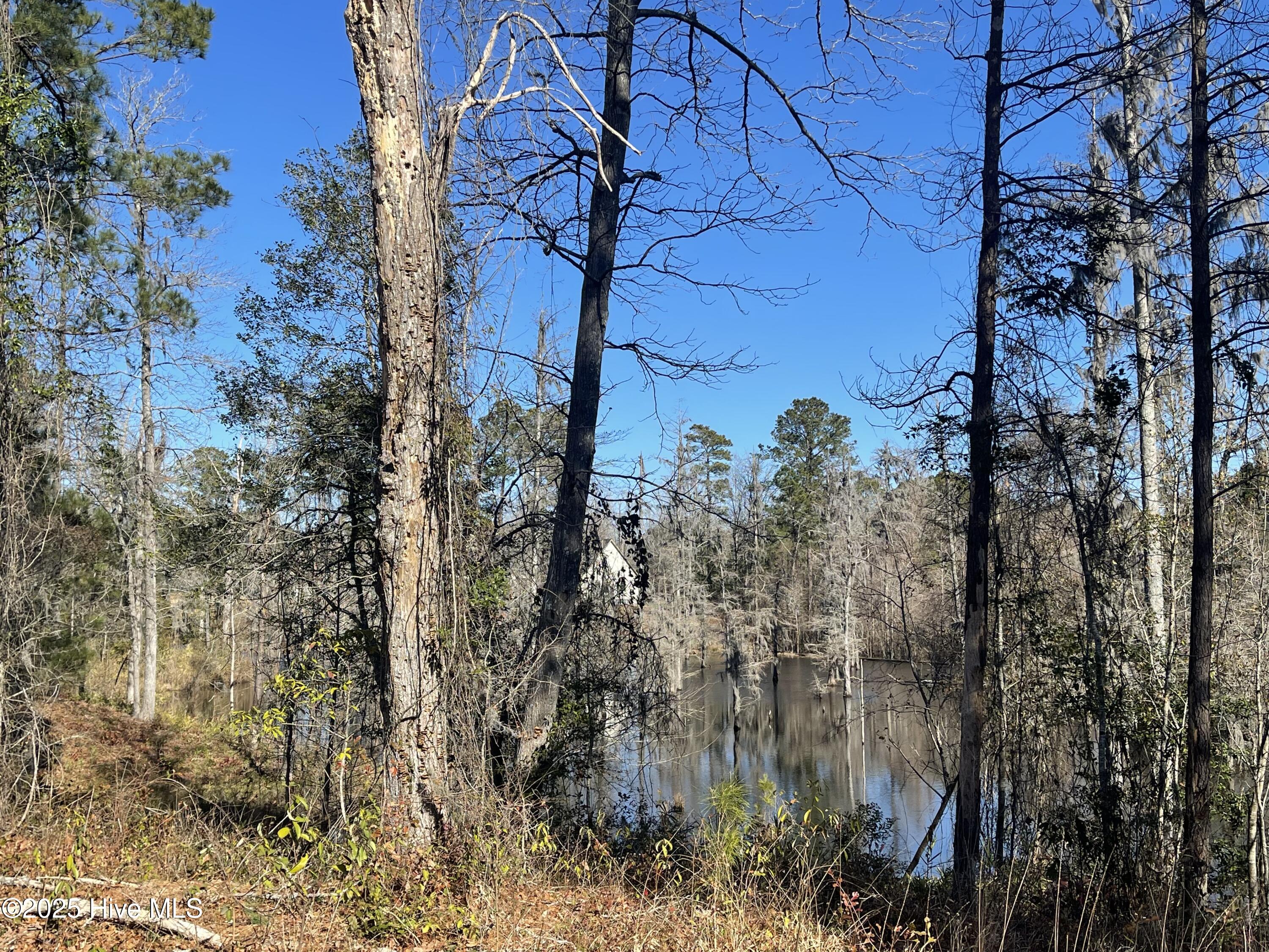 3997 Bay Colony Road Northeast Leland, NC 28451 - Photo 4 of 16 Creek View