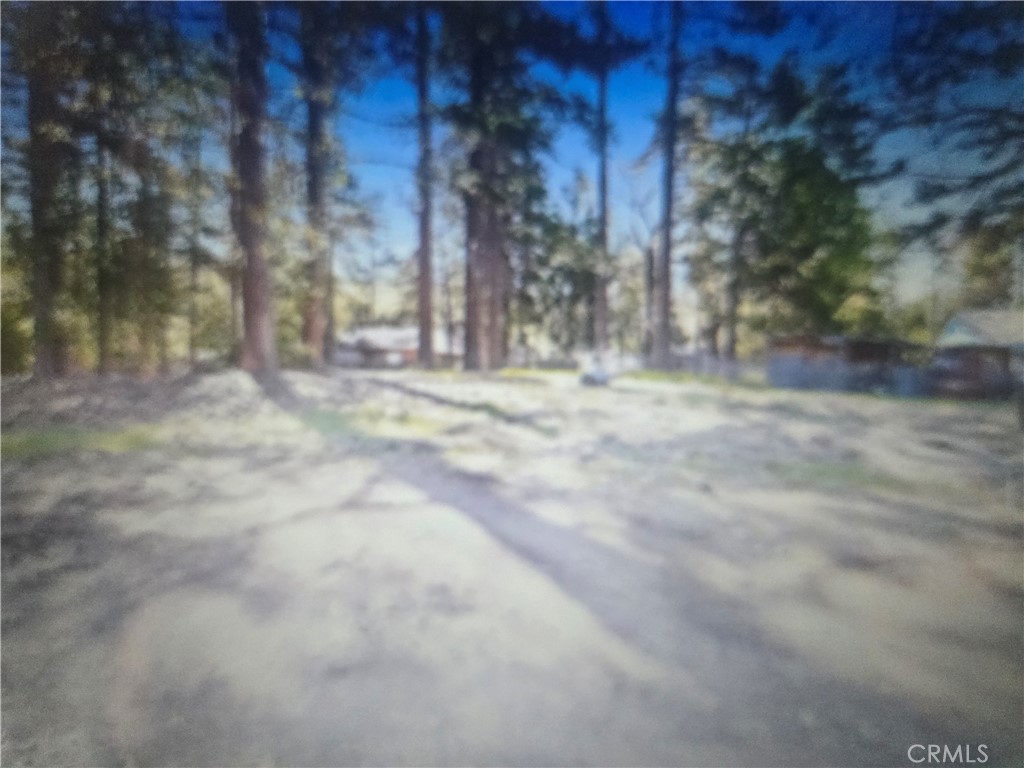 0 Pine Ridge Rd Pine Cove Idyllwild, CA 92549 - Photo 2 of 5