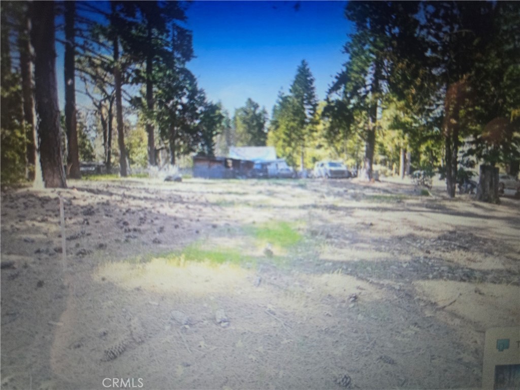 0 Pine Ridge Rd Pine Cove Idyllwild, CA 92549 - Photo 3 of 5