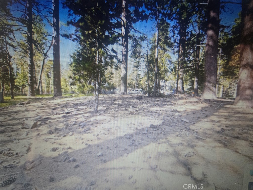 0 Pine Ridge Rd Pine Cove Idyllwild, CA 92549 - Photo 4 of 5