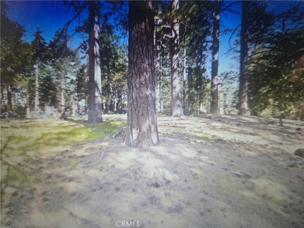 0 Pine Ridge Rd Pine Cove Idyllwild, CA 92549 - Photo 5 of 5