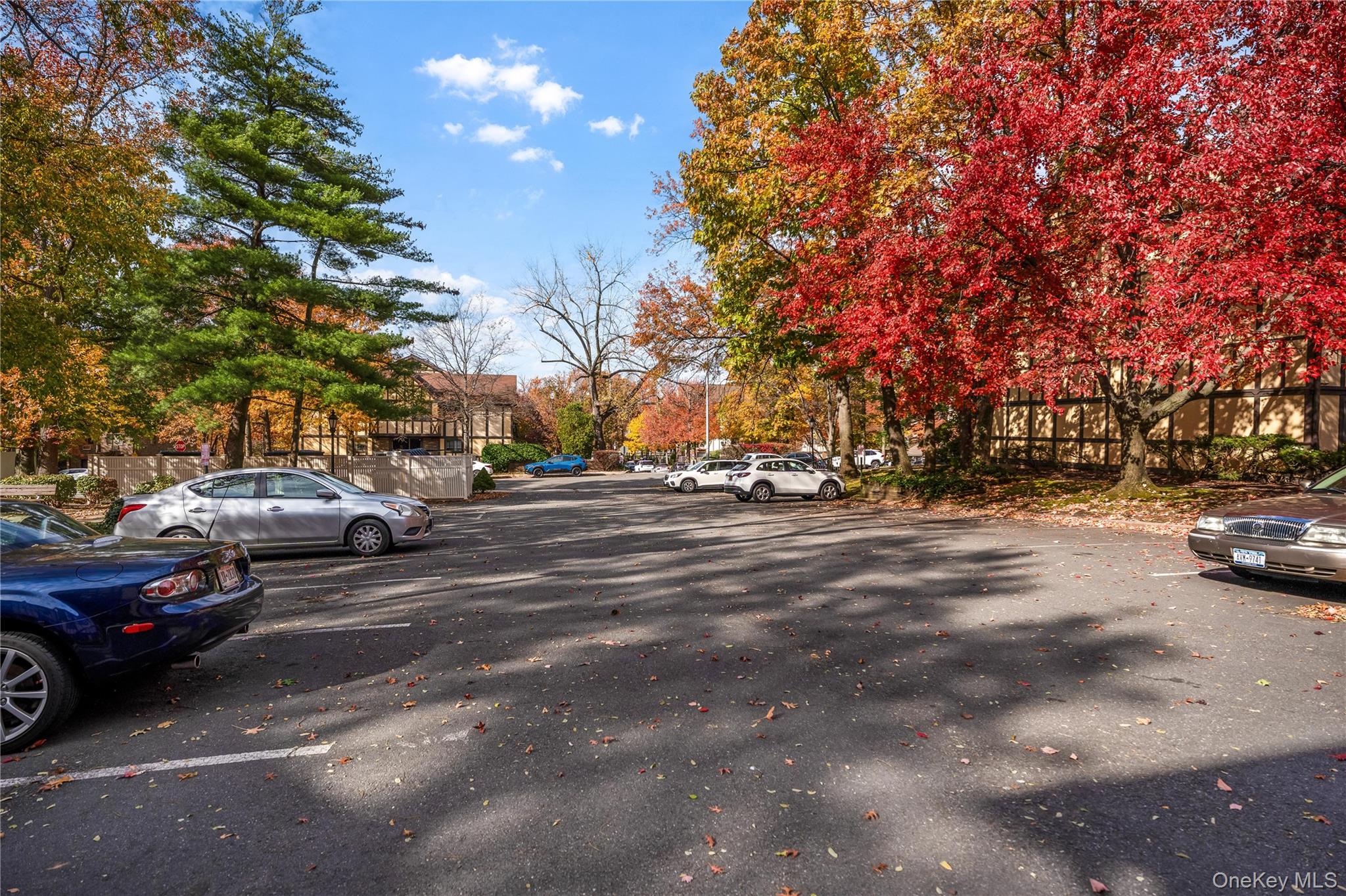 155 A Devon Loop Staten Island, NY 10314 - Photo 7 of 8 View of asphalt road