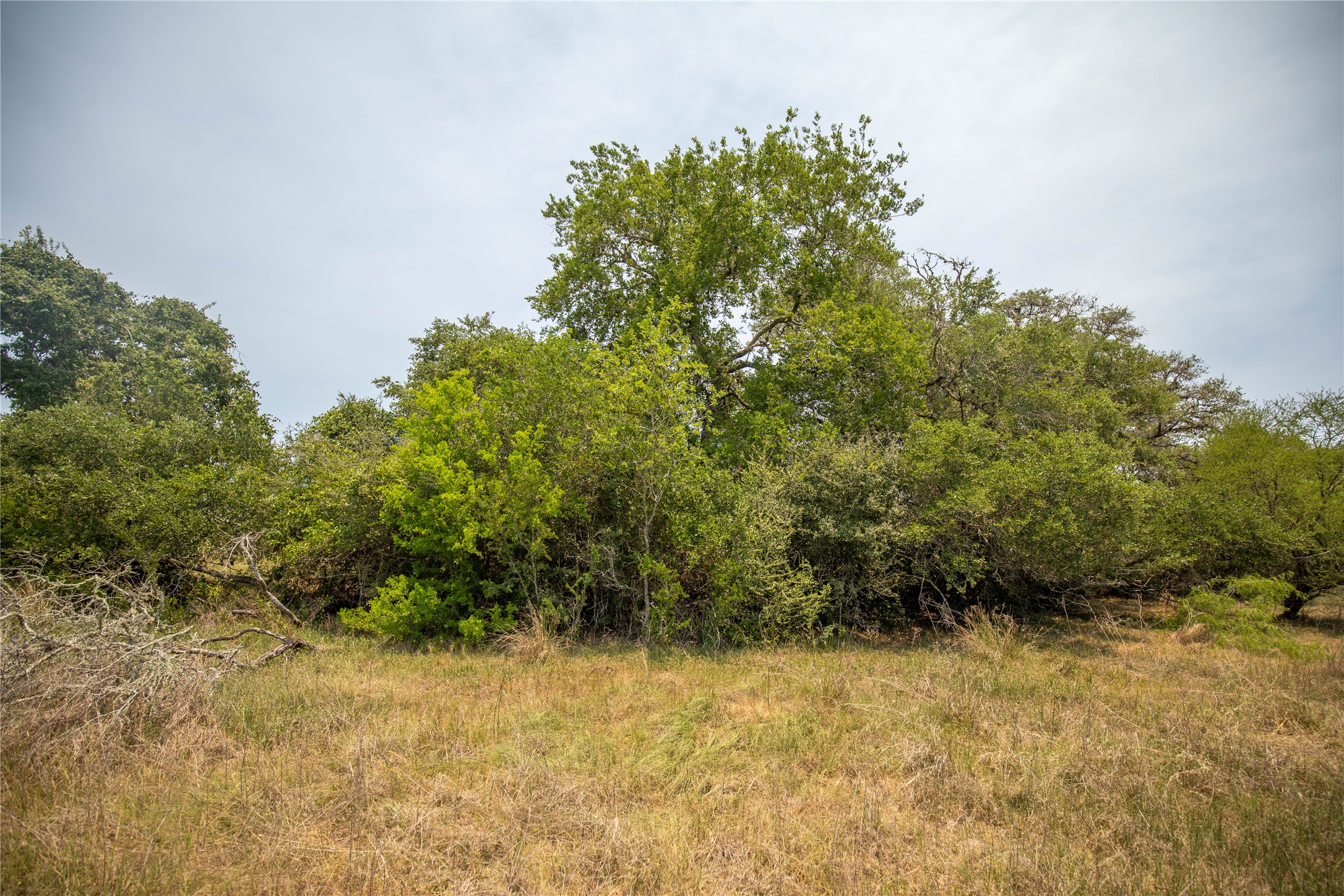 0 Green Dewitt Road Cuero, TX 77954 - Photo 25 of 40
