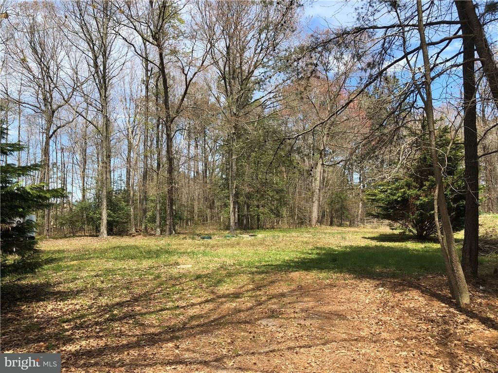Tbd Arvey Road Laurel, DE 19956 - Photo 3 of 11