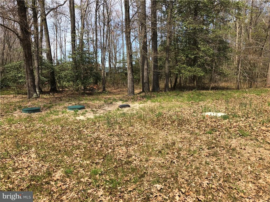 Tbd Arvey Road Laurel, DE 19956 - Photo 8 of 11