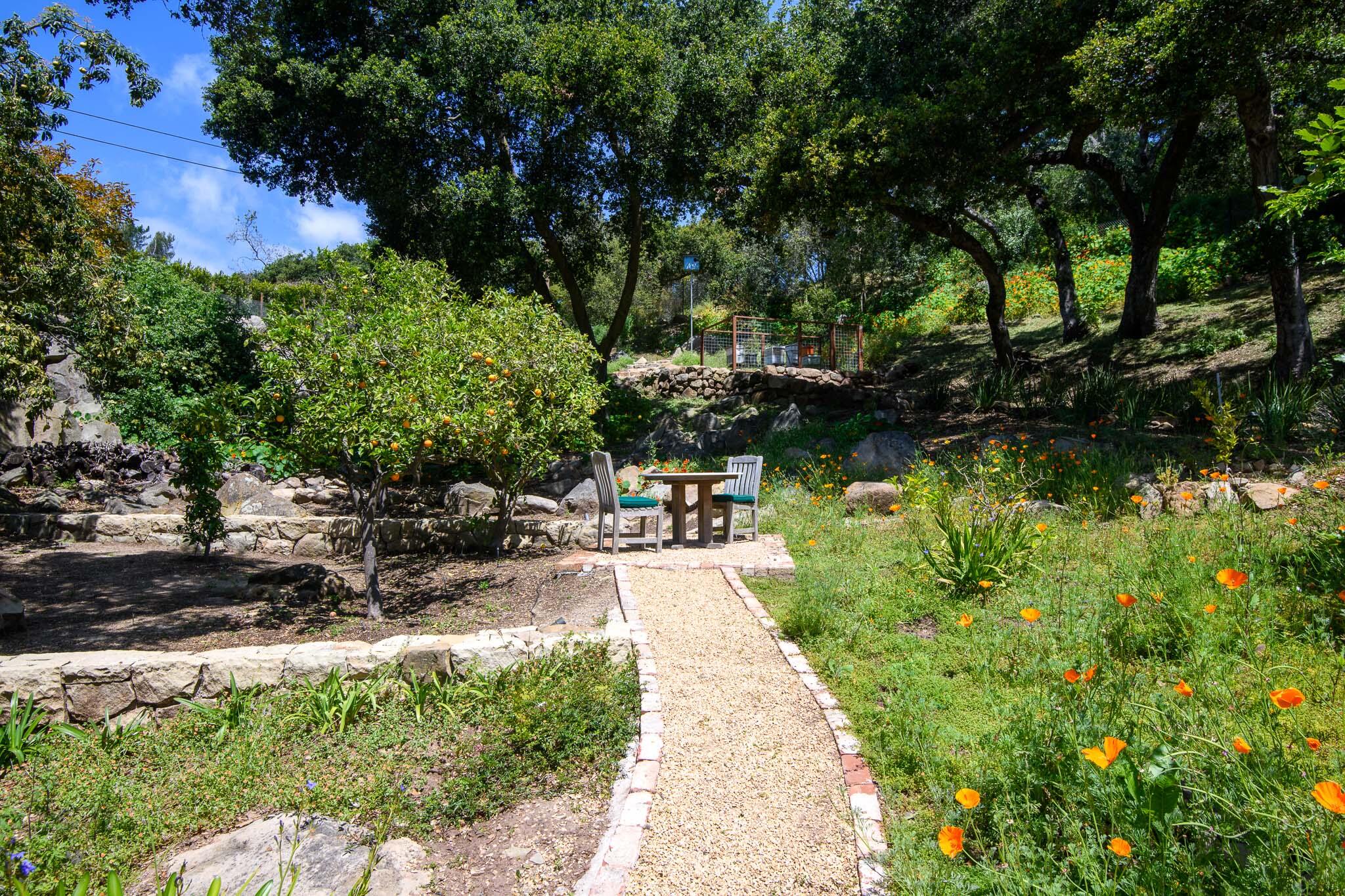 2868 East Valley Road Montecito, CA 93108 - Photo 29 of 34 a view of a backyard with plants and a lake view