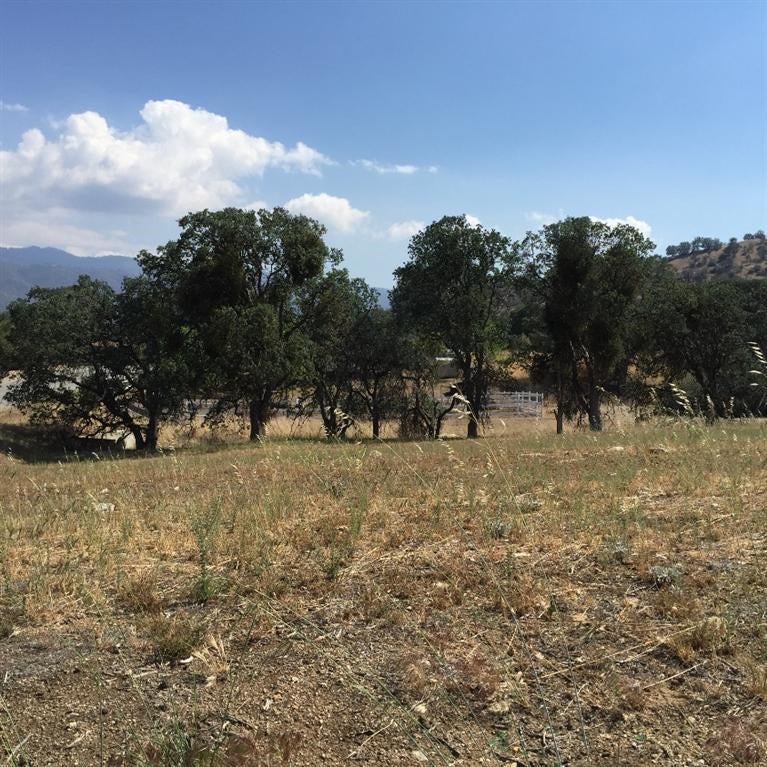 21300 Ridgeway Drive Tehachapi, CA 93561 - Photo 1 of 4 Gallery Image 1