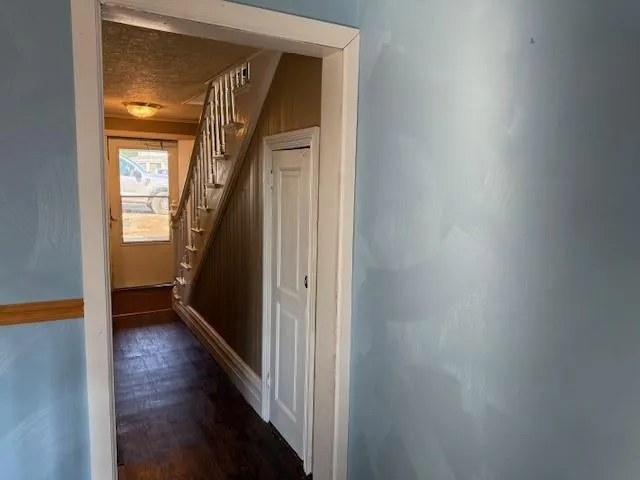 a view of a house with a yard plants and large tree