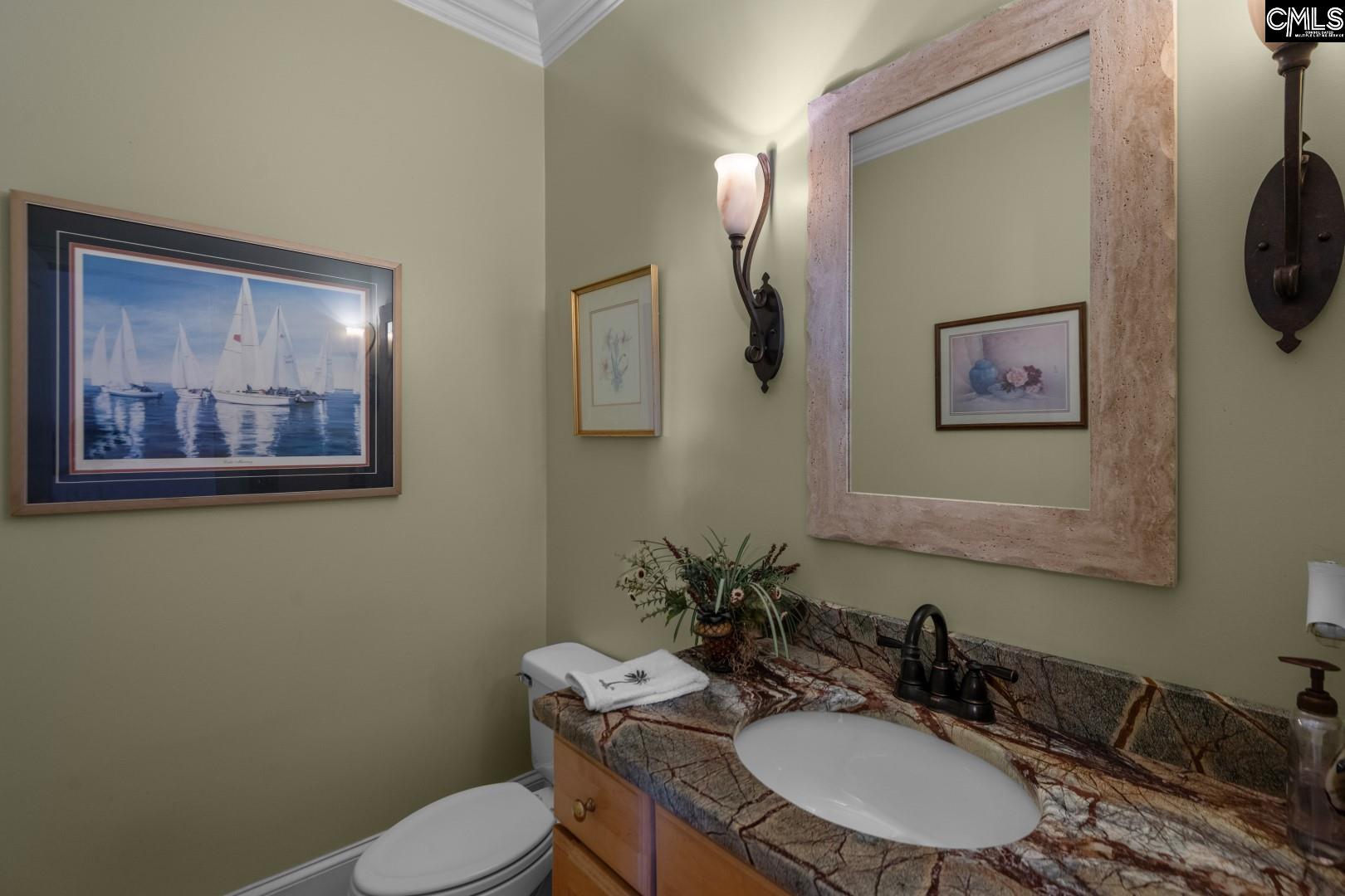 115 Pointe Overlook Drive Chapin, SC 29036 - Photo 26 of 45