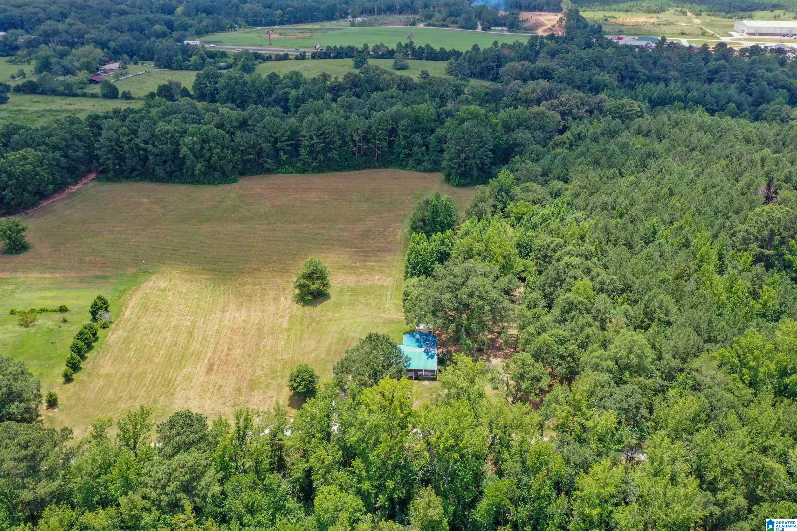 1675 Blue Eye Springs Road Lincoln, AL 35096 - Photo 48 of 60