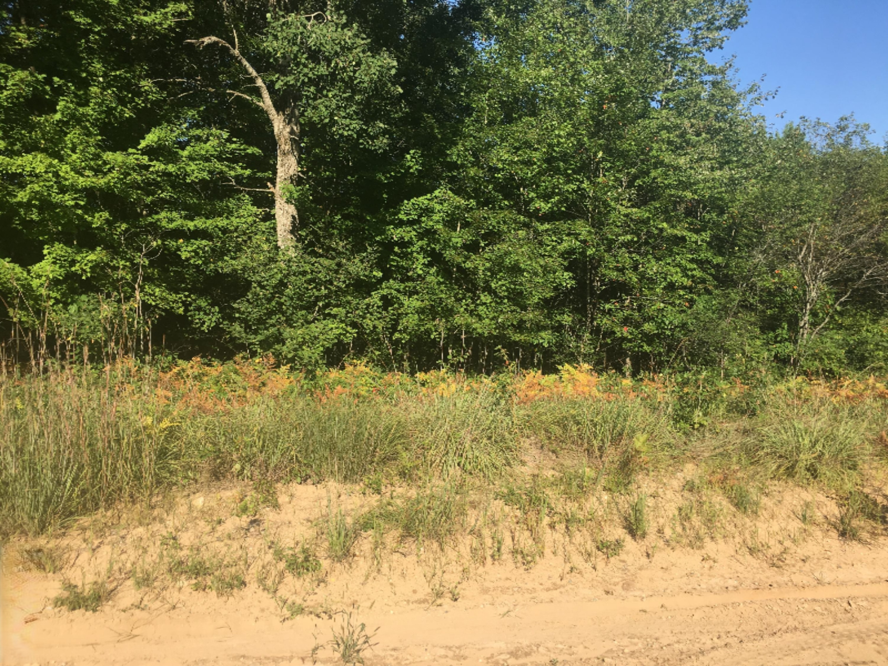 0 South State Road Reed City, MI 49677 - Photo 2 of 6 IMG_0699