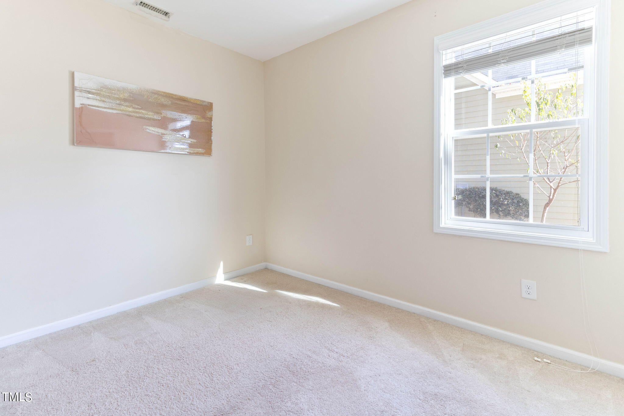 1237 Mantra Court Cary, NC 27513 - Photo 11 of 34 1237 mantra pic13