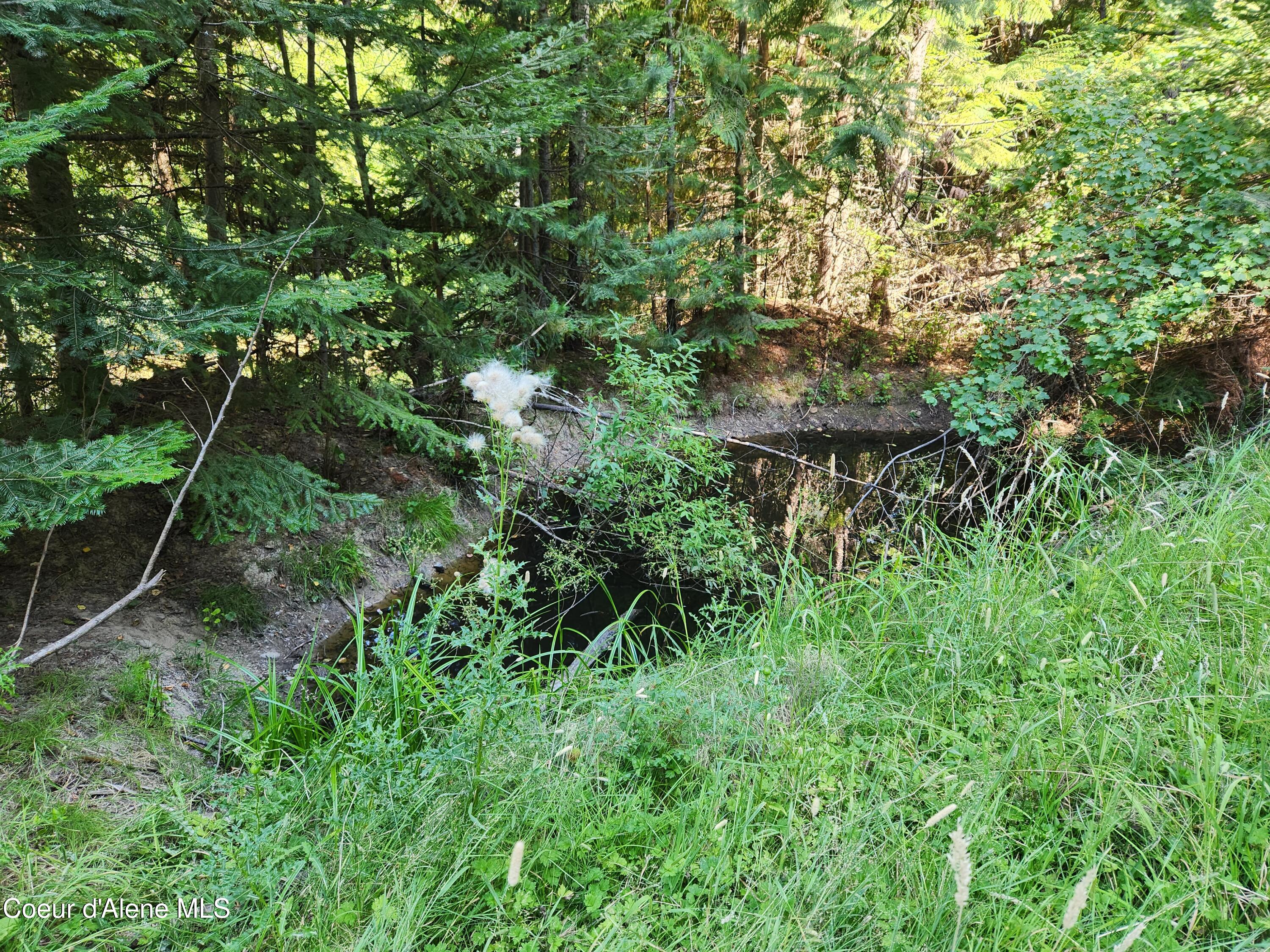 15876 South Skeel Gulch Road Cataldo, ID 83810 - Photo 49 of 64 Pond