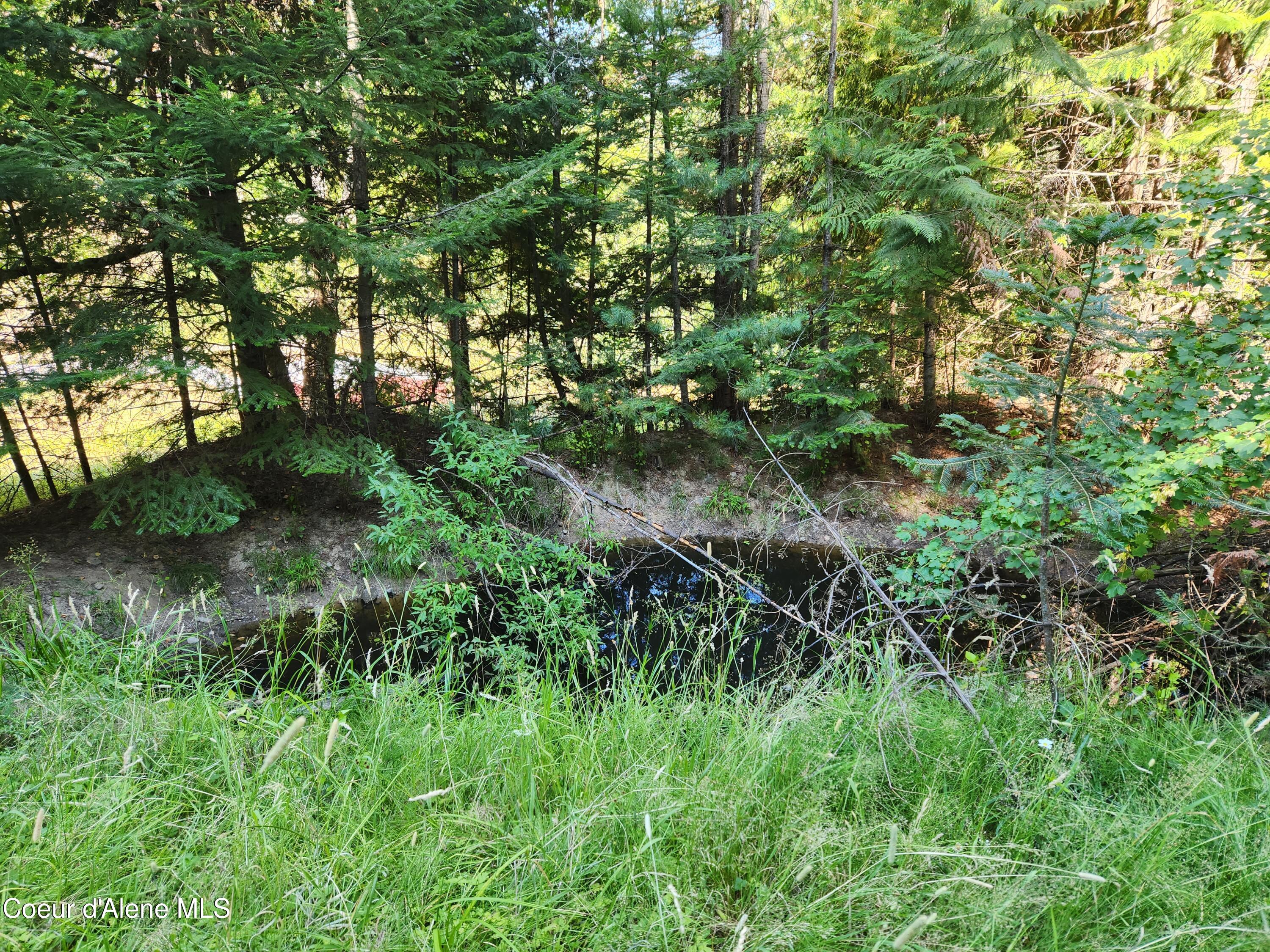 15876 South Skeel Gulch Road Cataldo, ID 83810 - Photo 50 of 64 2nd pond