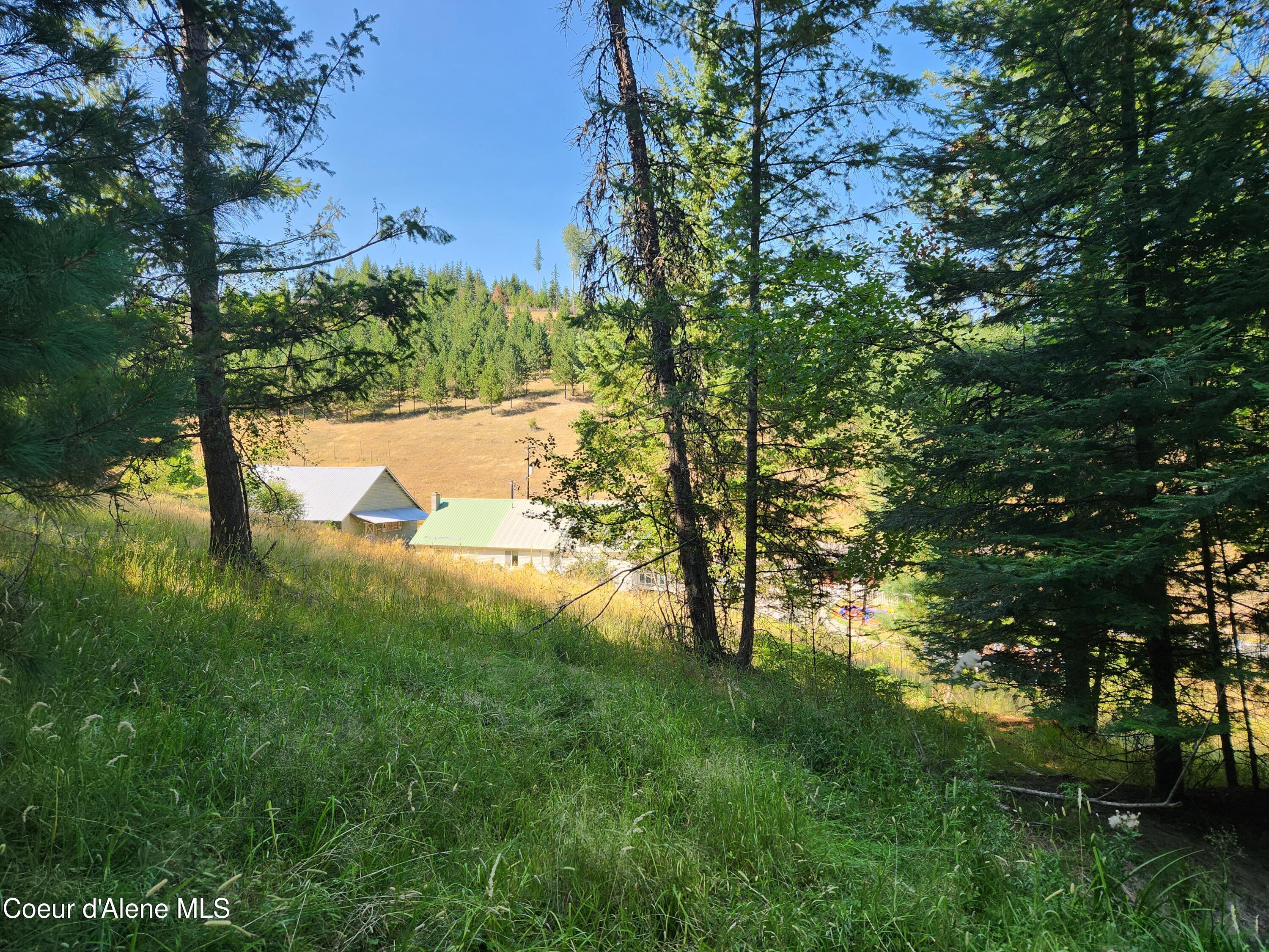 15876 South Skeel Gulch Road Cataldo, ID 83810 - Photo 51 of 64 Looking Down