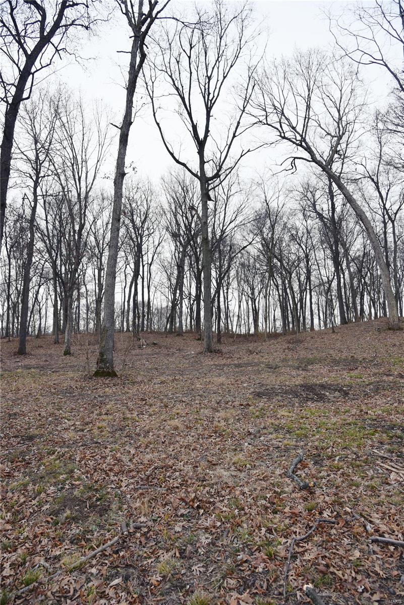 1408 Ski Club Road Greenville, IL 62246 - Photo 12 of 25 Gallery Image 12