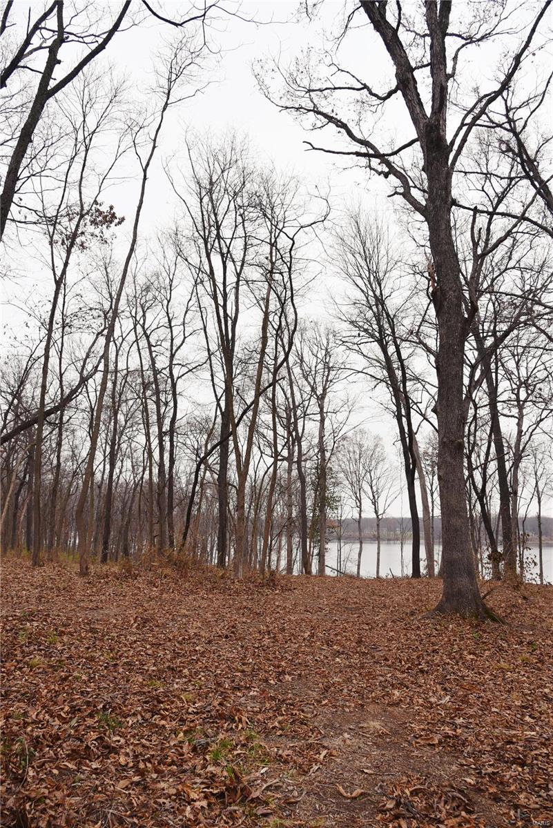 1408 Ski Club Road Greenville, IL 62246 - Photo 10 of 25 Gallery Image 10