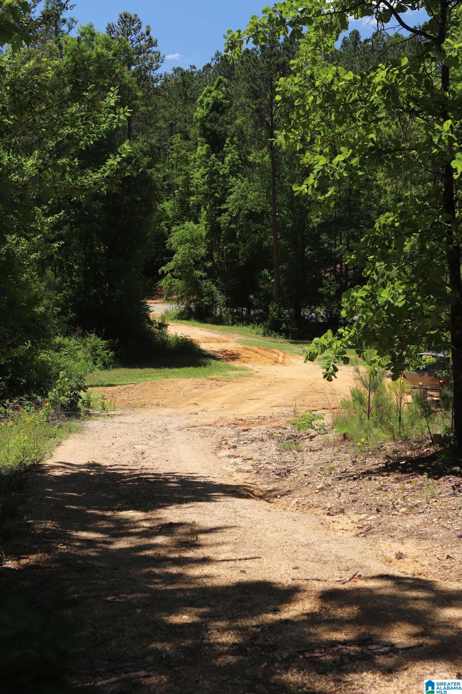 2930 Shocco Springs Road Talladega, AL 35160 - Photo 91 of 93