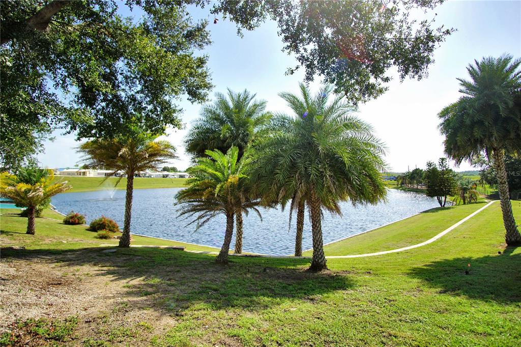 251 Patterson Road, Unit C13 Haines City, FL 33844 - Photo 18 of 28 a view of three palm trees