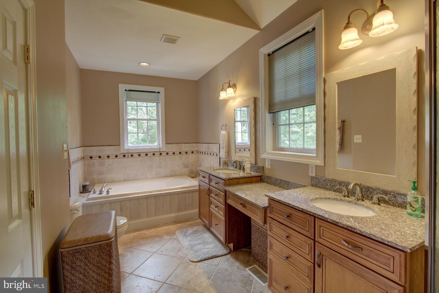 729 Fingerboard Schoolhouse Road Earleville, MD 21919 - Photo 35 of 52 Master Bath