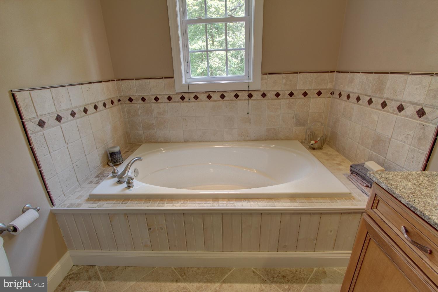729 Fingerboard Schoolhouse Road Earleville, MD 21919 - Photo 36 of 52 Master Bath