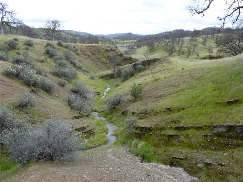 Lot 253 Perla Road Igo, CA 96047 - Photo 8 of 19 a view of a lush green forest with lush green forest