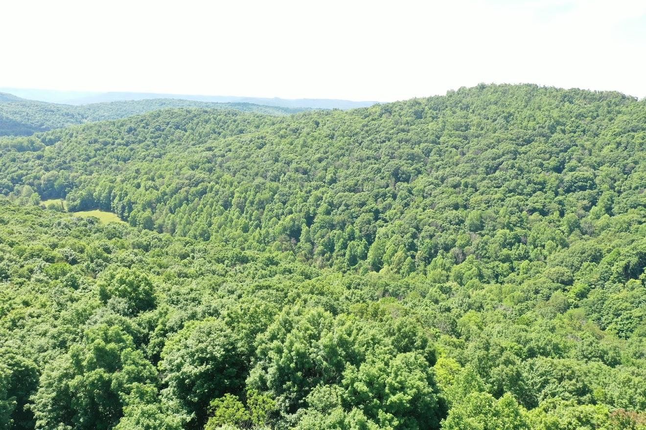 0 Rock Vw Road Pall Mall, TN 38577 - Photo 1 of 12