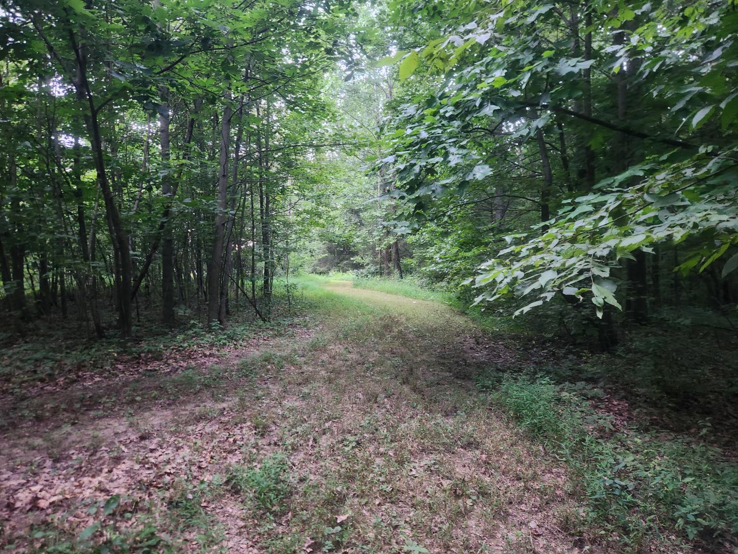 14372 Worth Cole Road Vevay, IN 47043 - Photo 54 of 78