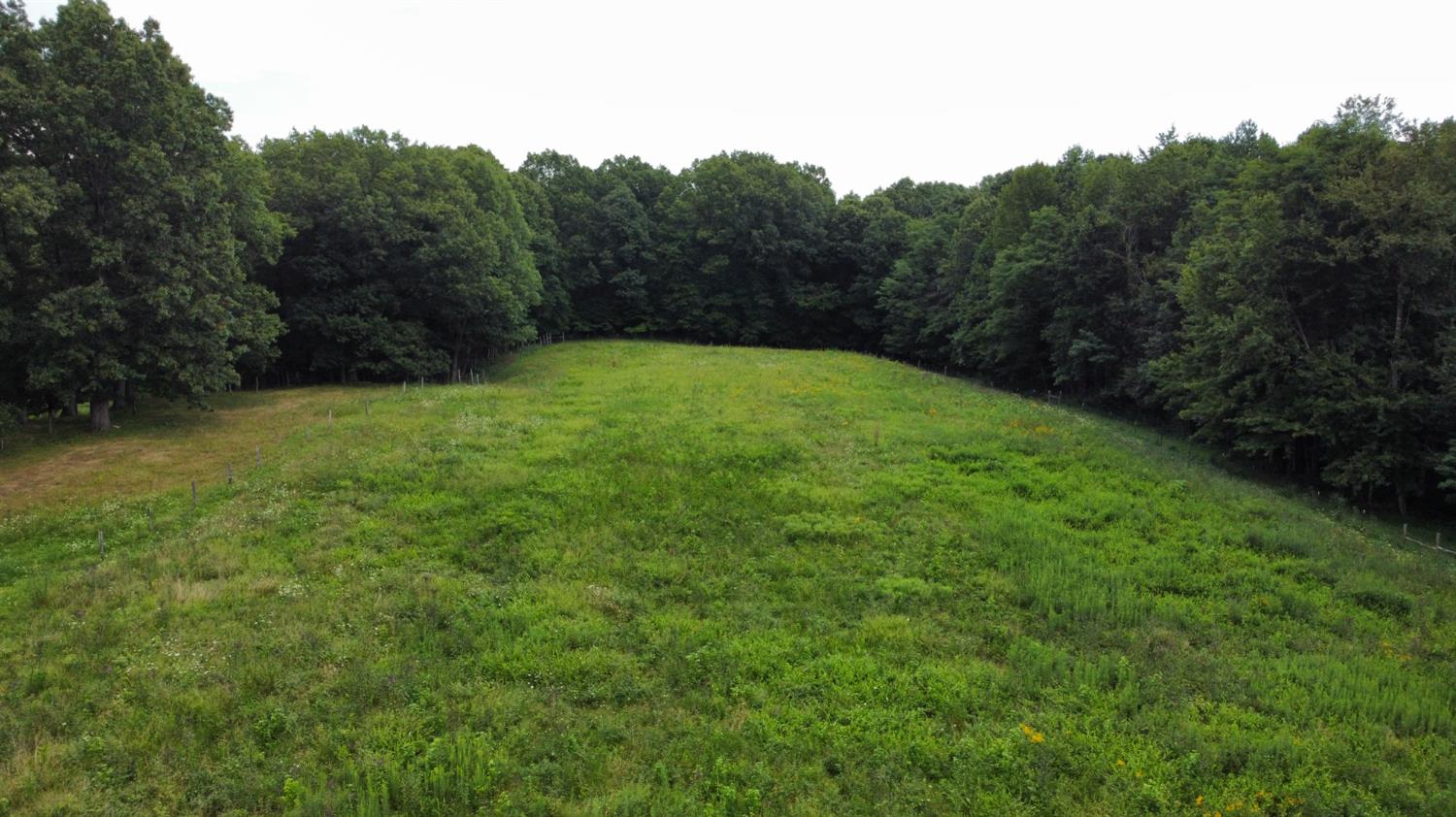 14372 Worth Cole Road Vevay, IN 47043 - Photo 65 of 78