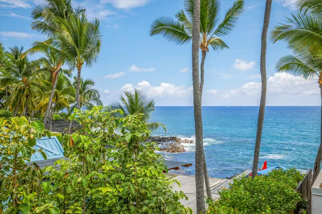 a view of a backyard of a house