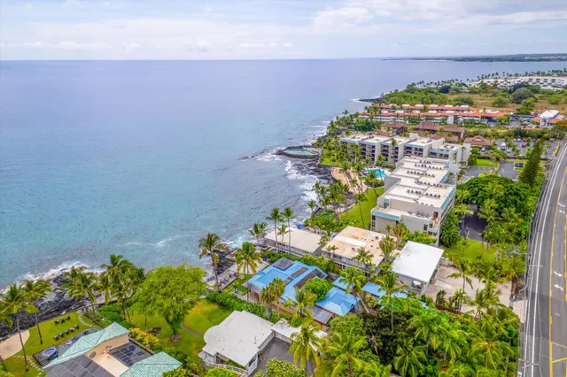 an aerial view of a house with a yard and garden