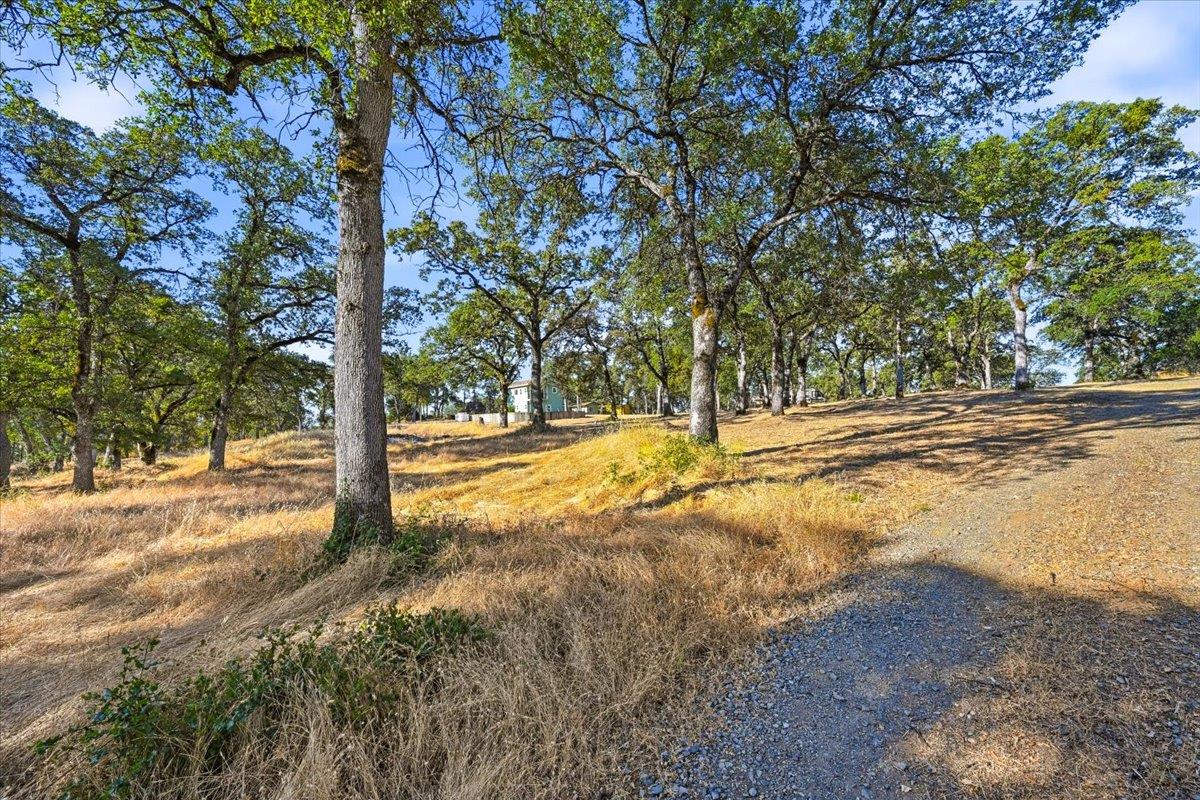 22311 Keller Road Smartsville, CA 95977 - Photo 50 of 58