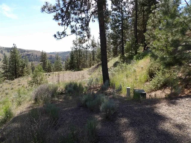 $57,500 | Lot 2 Chukar Short Plat Lane, Davenport, WA 99122