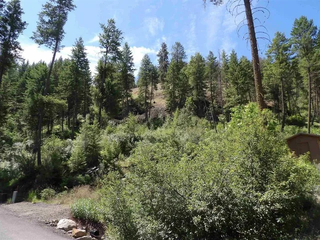 $57,500 | Lot 2 Chukar Short Plat Lane, Davenport, WA 99122