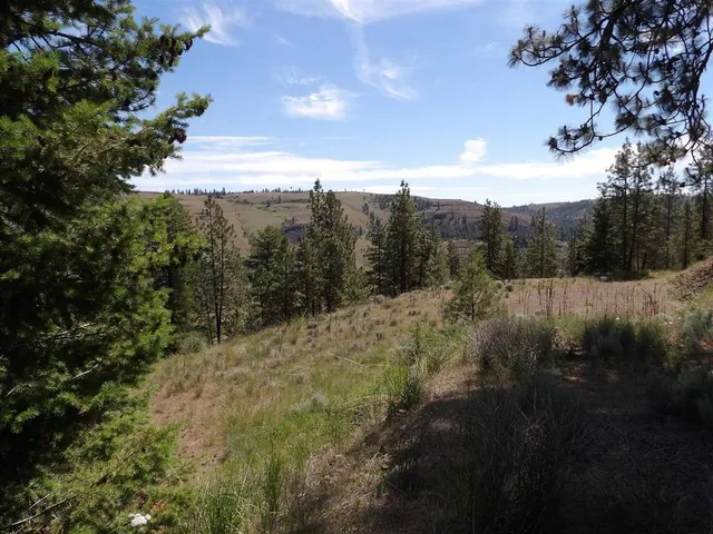 $57,500 | Lot 2 Chukar Short Plat Lane, Davenport, WA 99122