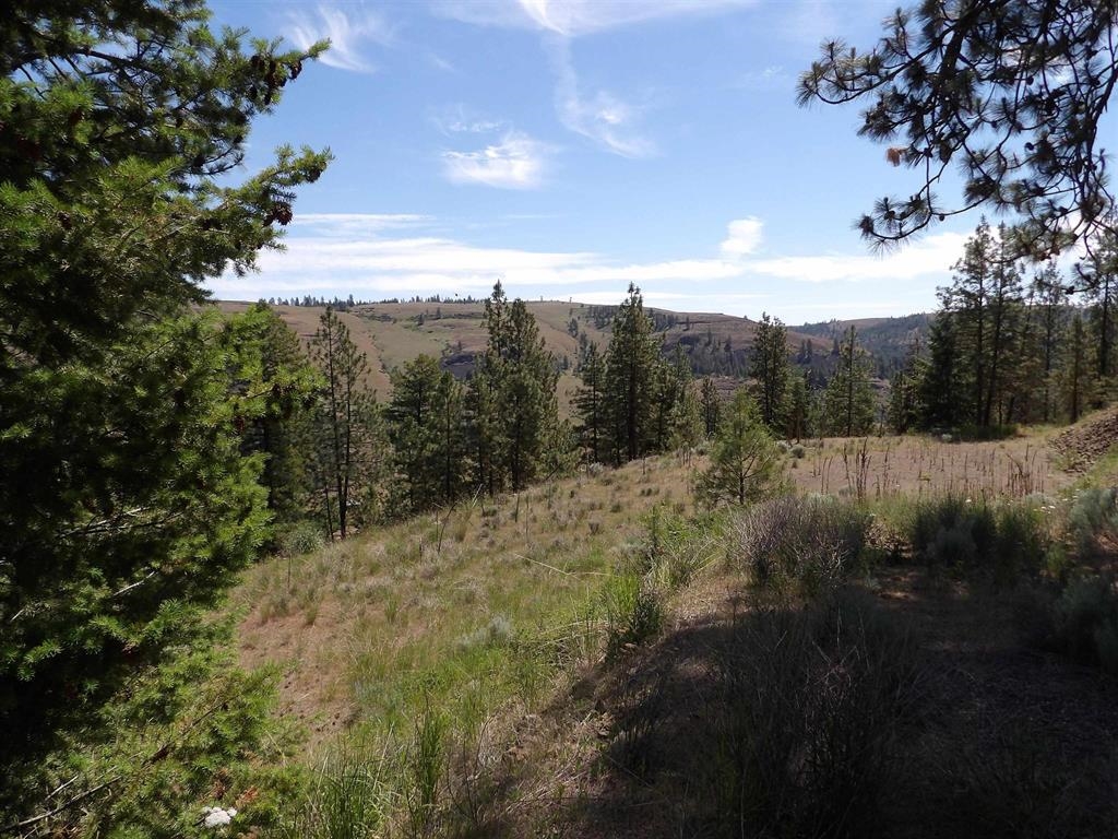 Lot 2 Chukar Short Plat Lane Davenport, WA 99122 - Photo 4 of 14