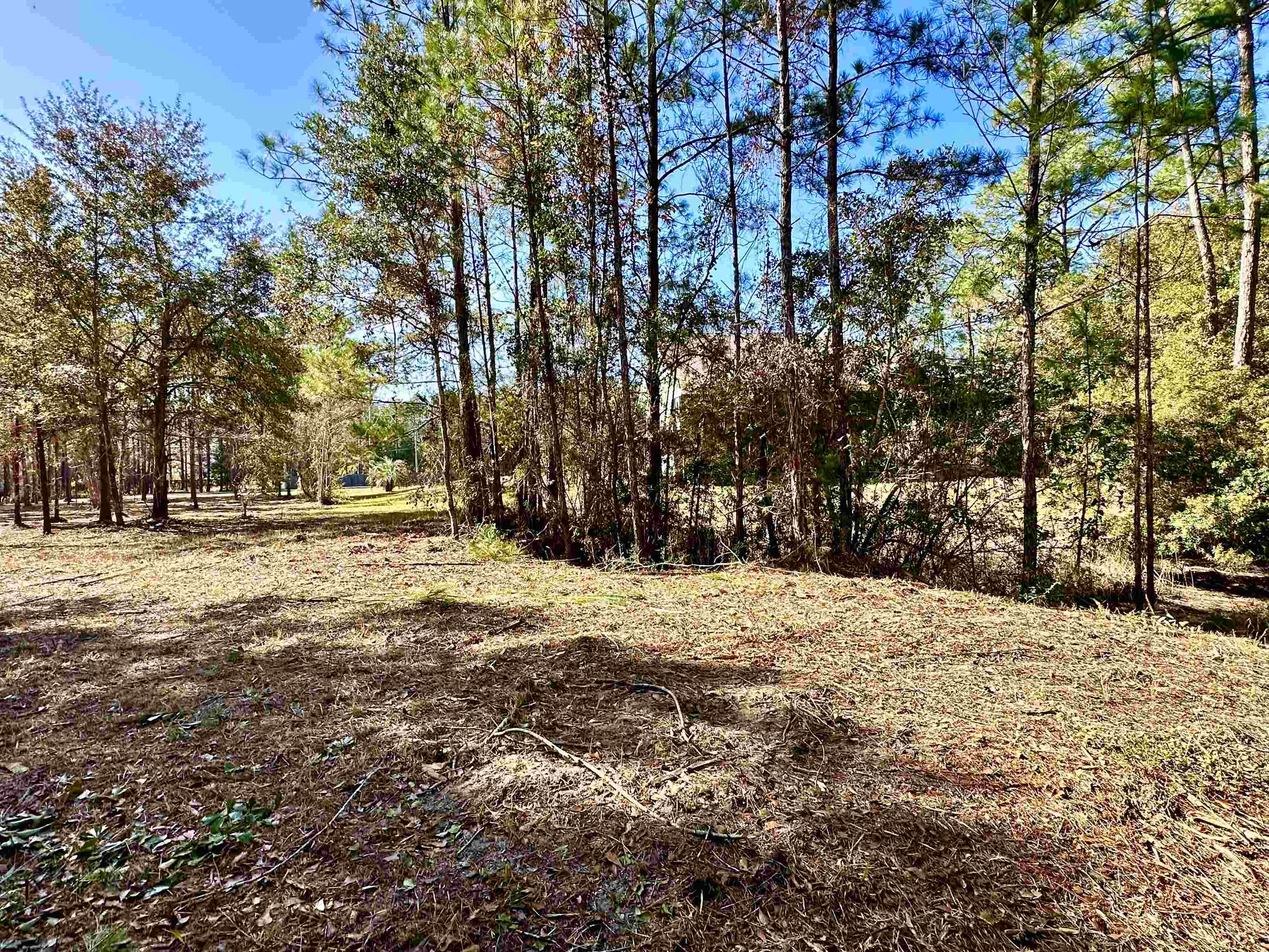 40707 Canal Circle Fairhope, AL 36532 - Photo 9 of 10 Yard