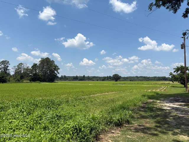 $124,000 | -near James B White Highway North, Clarkton, NC 28433