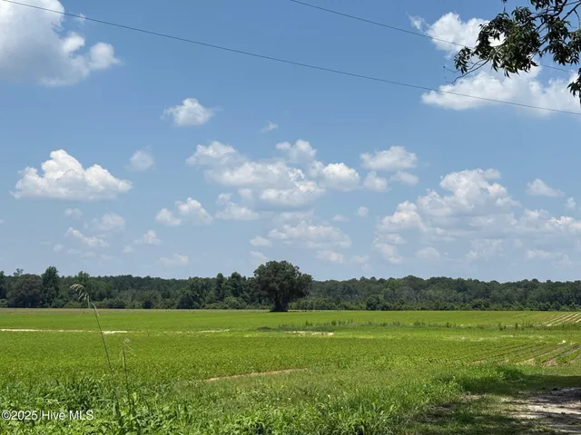 $124,000 | -near James B White Highway North, Clarkton, NC 28433