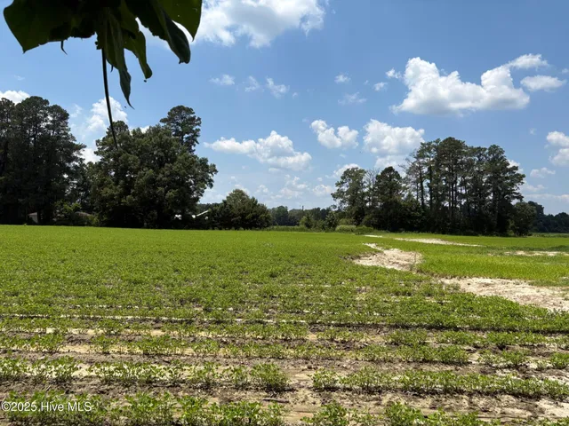 $124,000 | -near James B White Highway North, Clarkton, NC 28433