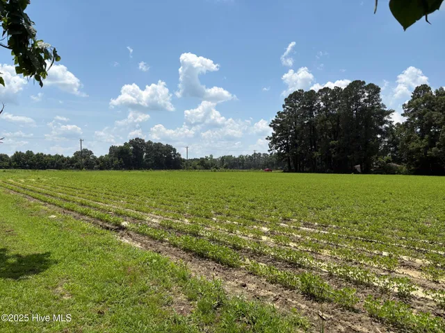 $124,000 | -near James B White Highway North, Clarkton, NC 28433